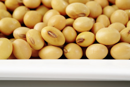 soybean seed on a plate
