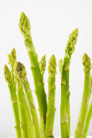 Asparagus vegetable on white backgroundの写真素材