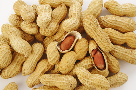 peanuts backgroundの写真素材