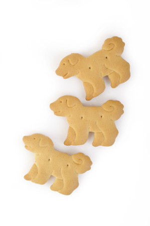 animal shaped cracker isolated on white backgroundの写真素材