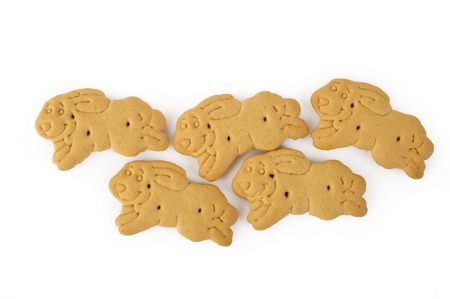 animal shaped salty cracker isolated on white background