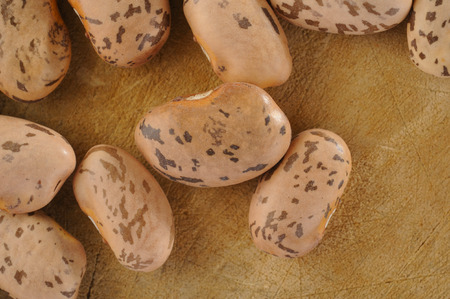 many pinto bean on background
