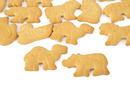 animal shaped cracker isolated on white backgroundの写真素材