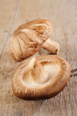 Mushroom vegetable on wooden backgroundの写真素材