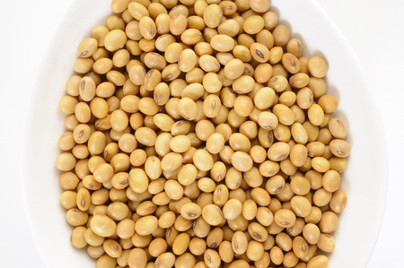 Soybean seed on white backgroundの写真素材