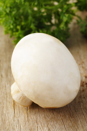 Mushroom and parsley on wooden backgroundの写真素材