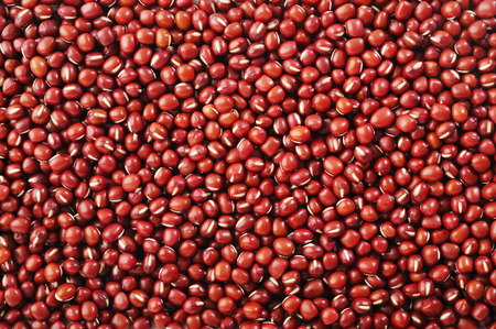 Kidney bean on white backgroundの写真素材