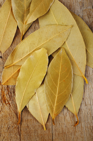 Bay leaf herb on backgroundの写真素材