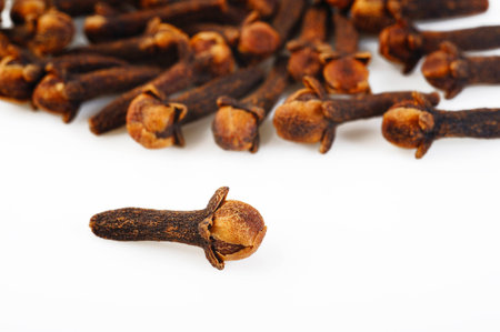 Cloves herbの写真素材