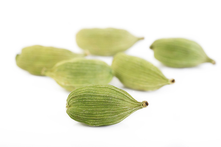 green cardamom pods isolated on white backgroundの写真素材