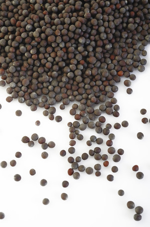 Brown mustard seedsの写真素材