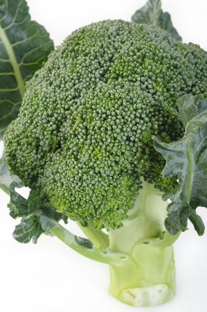 broccoli vegetable on white backgroundの写真素材