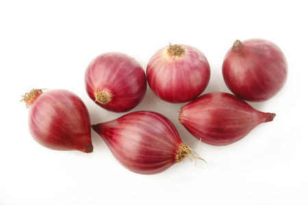 shallot onion isolated on white backgroundの写真素材