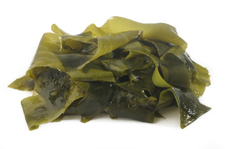 Fresh seaweed wakame isolated on white backgroundの写真素材