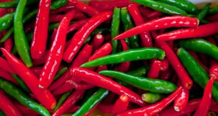 Red Pepper and green pepper 