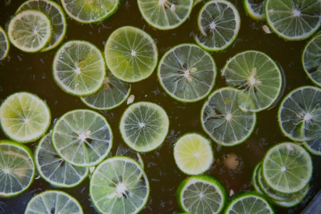lemonの写真素材