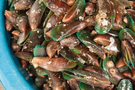Fresh mussels at the market in Thaillnd