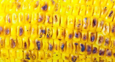 grilled vegetables  corn Isolated on a white background の写真素材