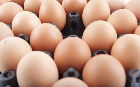 Eggs in a beautifully Panel Boards.