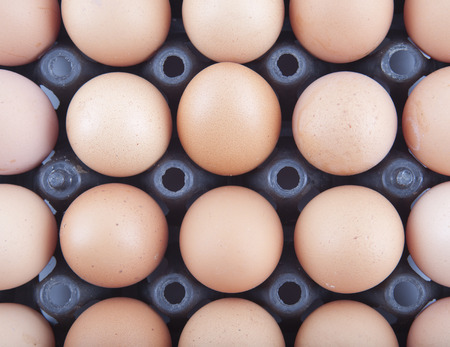 Eggs in a beautifully Panel Boards.