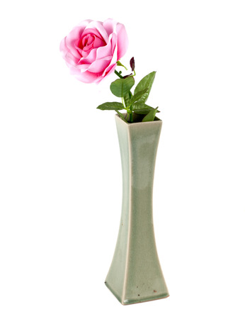 Vase of roses on white backgroundの写真素材