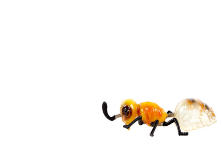ant toy  isolated on white backgroundの写真素材