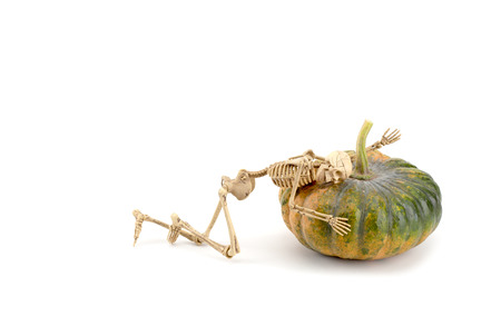 skeleton with a pumpkin on a white backgroundの写真素材