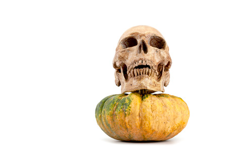 skeleton with a pumpkin on a white backgroundの写真素材