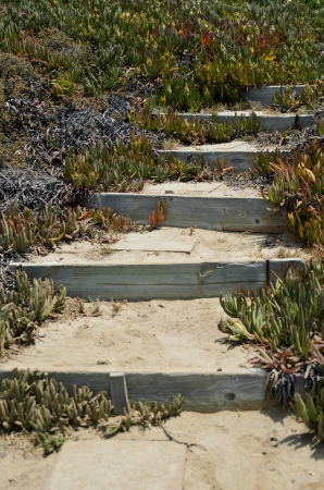 Stairways at the beachの写真素材