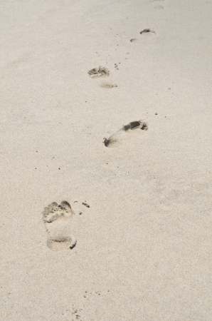 Footprint on the beachの写真素材