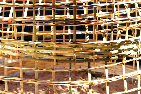 Bamboo chicken trappedの写真素材