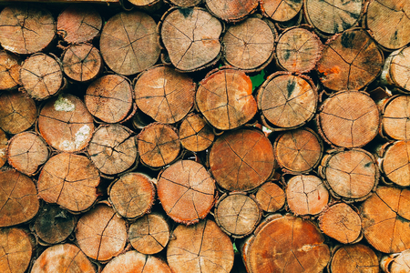 Pieces of round circle wooden texture backgroundの写真素材