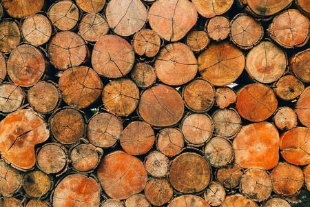 Pieces of round circle wooden texture backgroundの写真素材