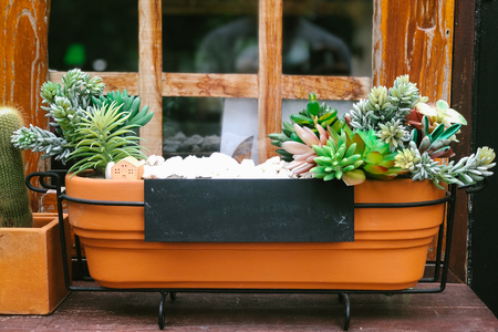 Small plants in clay pot decorate outside the windowの写真素材