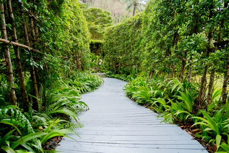 White wooden walkway in a beautiful tropical gardenの写真素材