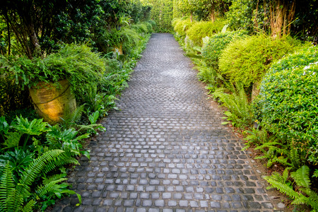 Cobble stone walkway in a beautiful tropical gardenの写真素材