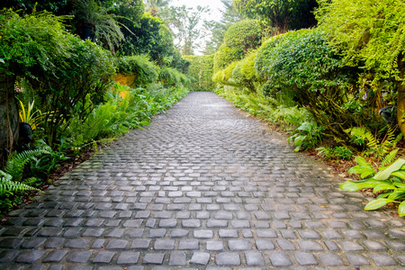 Cobble stone walkway in a beautiful tropical gardenの写真素材