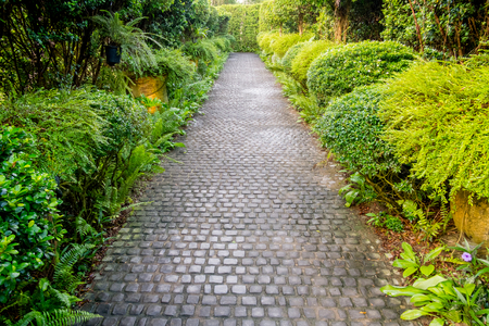 Cobble stone walkway in a beautiful tropical gardenの写真素材