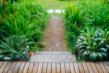 Wooden deck and path way in tropical gardenの写真素材