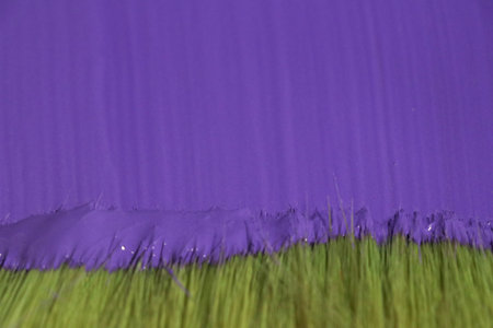 Purple background with green grass and purple paint, closeup of photoの写真素材