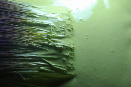 Green paint brush close up. Abstract background and texture for design.の写真素材