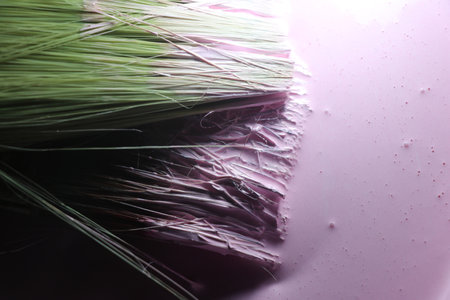 Paint brushes and paint on a white background, close-upの写真素材