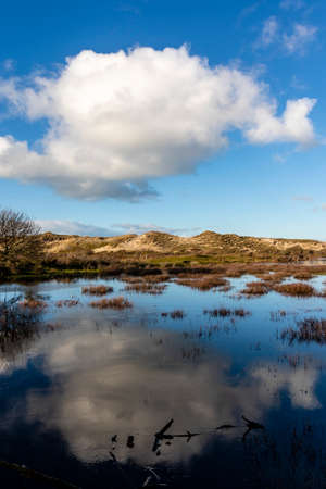 Dune landscape in Bergen aan Zee, Noord-Holland, The Netherlands, Europeの写真素材