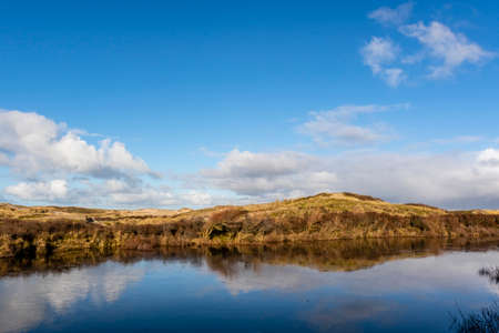 Dune landscape in Bergen aan Zee, Noord-Holland, The Netherlands, Europeの写真素材