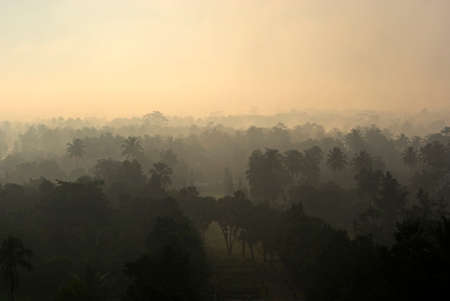 View at the misty jungle with palmtrees from the Borobudur temple during sunrise, Java, Indonesia, Asiaの写真素材