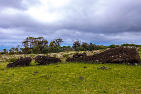 Fallen moai statue in the Rano Raraku Quarry at Easter Island, Chile, Polynesiaの写真素材