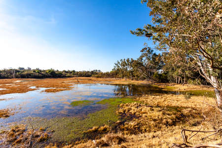 Landscape of Entre Rios, Villaguay, Argentina, South Americaの写真素材