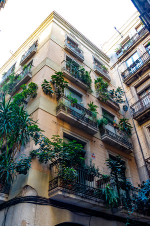 Facade of an old apartment building in Barrio Gotico, Barcelona, Catalonia, Spain, Europe, Barcelona, Catalonia, Spain, Europeの写真素材