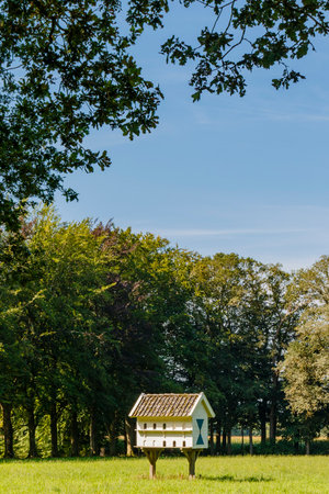 Wooden dovecote in a park in Overijssel, The Netherlands, Europeの写真素材