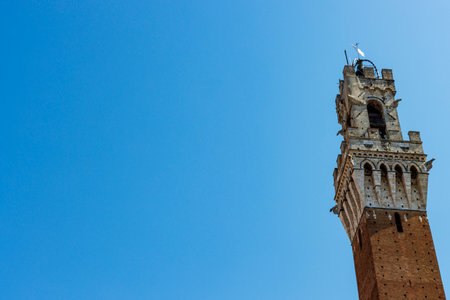 Facade of the city hall (in italian: Palazzo Comunale or Palazzo Pubblico) in Siena, Tuscany, Italy, Europeの写真素材
